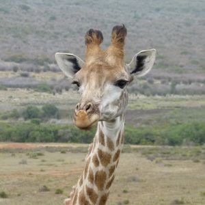 Meet your Posher, Andy